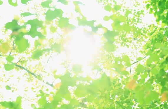今話題のテキサスホールデムポーカーはじめてやるなら新松戸COLORへ！